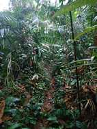Excursión desde Puesto Camotal