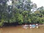 Reserva Nacional Pacaya Samiria