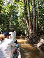 Reserva Nacional Pacaya Samiria