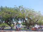 Plaza de Armas, Yurimaguas