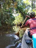 Reserva Nacional Pacaya Samiria