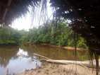 Reserva Nacional Pacaya Samiria