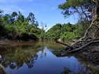 Reserva Nacional Pacaya Samiria