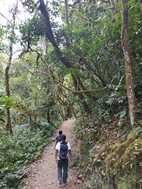 Catarata de Gocta