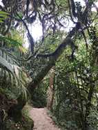 Catarata de Gocta
