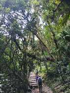 Catarata de Gocta