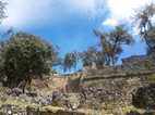 Ruinas de Kuelap