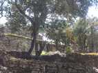 Ruinas de Kuelap