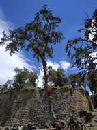 Ruinas de Kuelap