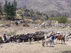 Trekking en el Valle del Colca
