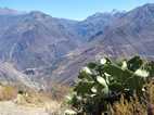 Trekking en el Valle del Colca
