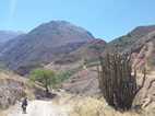 Trekking en el Valle del Colca