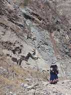 Trekking en el Valle del Colca
