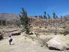 Trekking en el Valle del Colca
