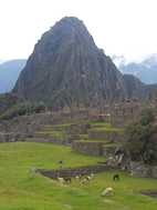 Ciudadela de Machu Picchu