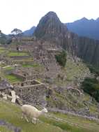 Ciudadela de Machu Picchu