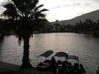 Oasis de Huacachina