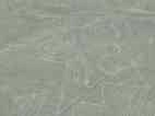 Líneas de Nazca