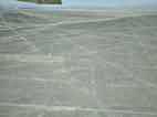 Líneas de Nazca