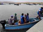 Lagunillas, Reserva Nacional Paracas