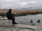 Reserva Nacional Paracas