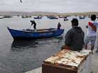 Lagunillas, Reserva Nacional Paracas