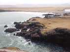 Reserva Nacional Paracas