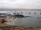 Reserva Nacional Paracas