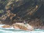 Islas Ballestas