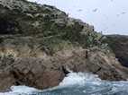 Islas Ballestas