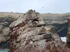 Islas Ballestas