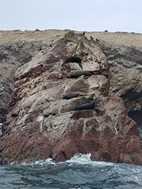 Islas Ballestas