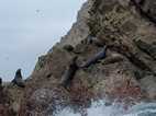 Islas Ballestas
