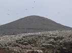 Islas Ballestas