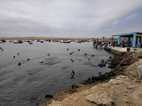 Reserva Nacional Paracas