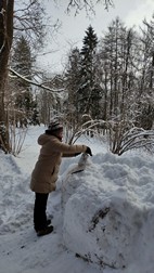 Parque de Palacio, Bialowieza