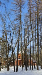 Parque de Palacio, Bialowieza