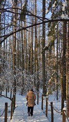 Oak Tree Trek, PN Bialowieza