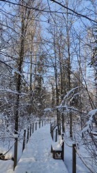 Oak Tree Trek, PN Bialowieza