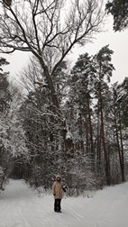 Parque Nacional de Biebrza