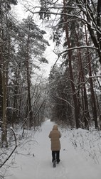 Parque Nacional de Biebrza