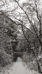 Parque Nacional de Biebrza