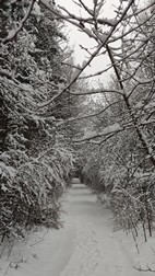 Parque Nacional de Biebrza