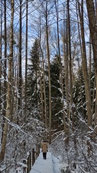 Zebra Zubra, Parque Nacional de Bialowieza