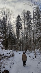 Zebra Zubra, Parque Nacional de Bialowieza