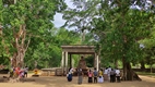 Anuradhapura World Heritage Site