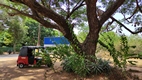 Sri Lanka desde el asiento de atras de un tuktuk