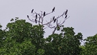 Arugam Lagoon Tour