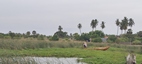Arugam Lagoon Tour