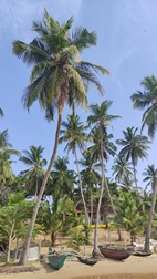 Playa de Arugambay